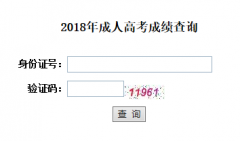 2018年武汉科技大学成人高考成绩查询