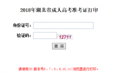 武汉科技大学成教本科准考证打印