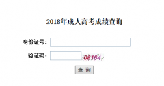 武汉科技大学成教本科成绩查询